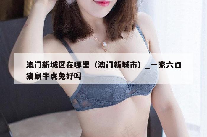 澳门新城区在哪里（澳门新城市）_一家六口猪鼠牛虎兔好吗